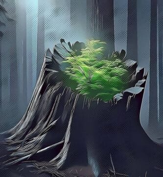 Juan Francisco Sandoval: Exiliado, pero nunca vencido